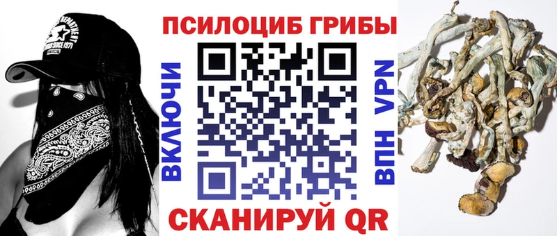 Галлюциногенные грибы мухоморы  mega зеркало  Лермонтов  где можно купить  